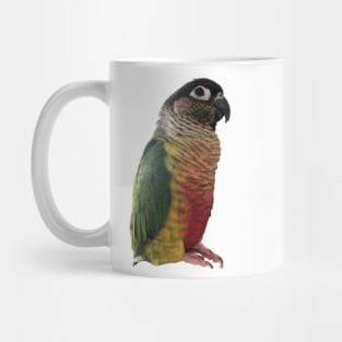 Green Cheek Conure Parrot Bird design | Green cheek | Love for birds Mug